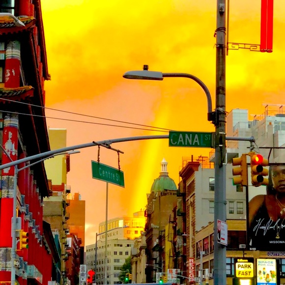 Meet your Posher, 🦈➕ Sharky - Picture 8 of 14